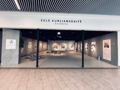 Eglės Kurlianskaitės GALERIJA